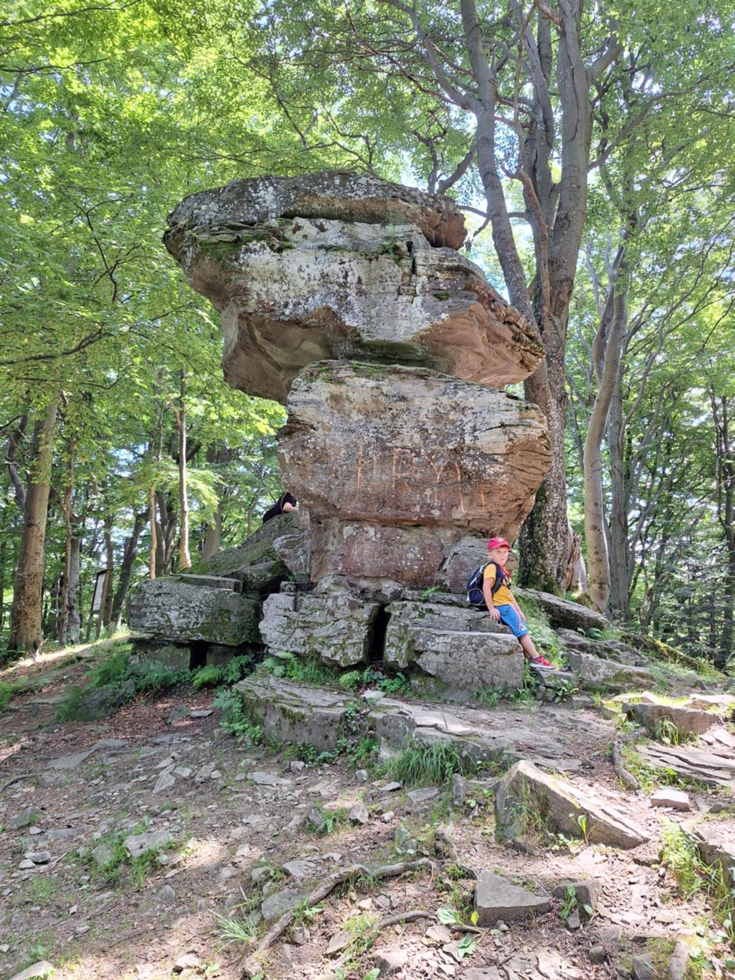 Dom Goscinny Dudek Krynica-Zdrój Kültér fotó