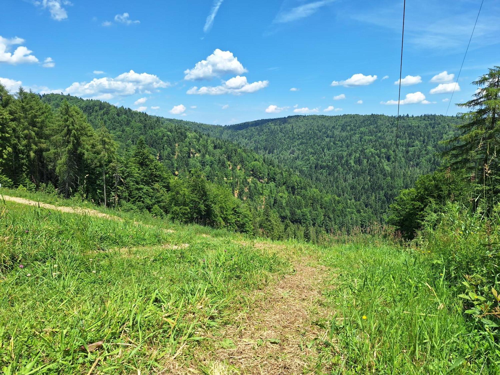 Dom Goscinny Dudek Krynica-Zdrój Kültér fotó
